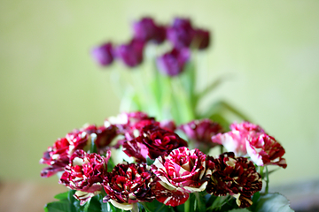 Image showing Rote Rosen  Red Roses