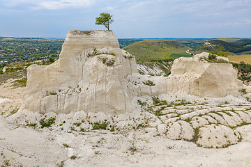 Image showing Lonely tree at limestone quarry in Moldova