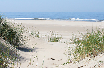 Image showing Dünen Dunes 