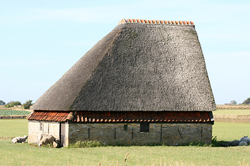 Image showing Schafscheune  Sheep barn 