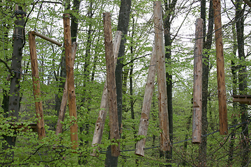 Image showing Kletterwald  Climbing forest 