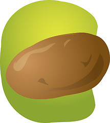 Image showing Potato illustration