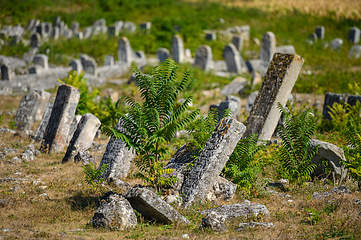 Image showing Old tombstones at the ancient Jewish cemetery in Vadul liu Rascov in Moldova