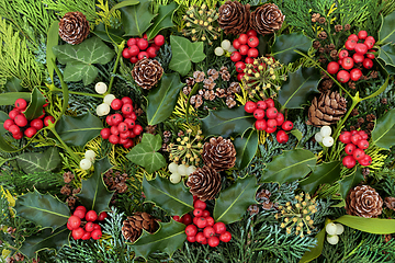 Image showing Traditional Winter Holly and Flora  Background