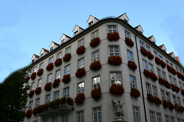 Image showing Blumenhaus   House of flowers 