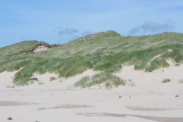 Image showing Dünen Dunes 