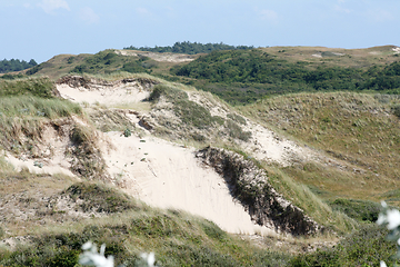 Image showing Dünen Dunes 