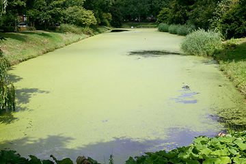 Image showing Tümpel  pond 