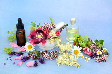 Image showing Essential Oil Preparation for Herbal Medicine