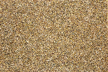 Image showing Freekeh Rice Healthy Food