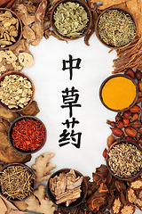 Image showing Chinese Healing Herbs