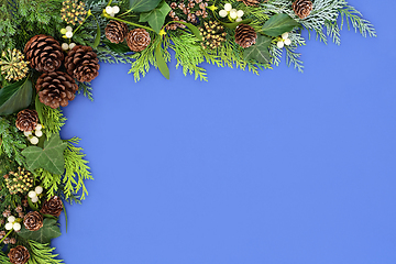 Image showing Winter Greenery Background Border on Blue