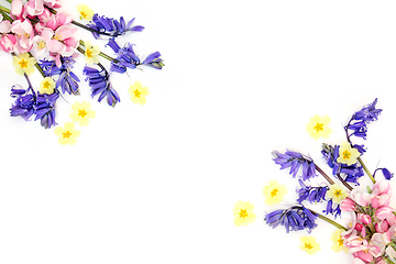 Image showing Spring Flower Blossom Background Border 