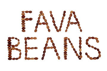 Image showing Fava Beans Word  Phrase