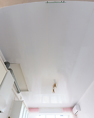 Image showing Ceiling made of white plastic panels in the interior of the kitchen