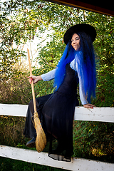 Image showing Halloween witch sitting on a fence with a broom