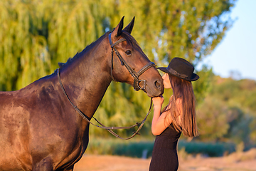 Image showing A girl kisses a horse in the rays of the setting sun