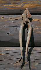 Image showing Old rust tools on wooden background