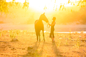 Image showing Girl with a horse in the rays of the sunset backlight