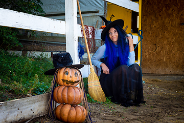 Image showing Halloween celebration witch and pumpkin figure sit by the fence