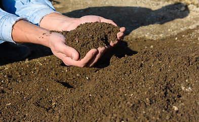 Image showing Man\'s hands hold freshly sifted lawn soil