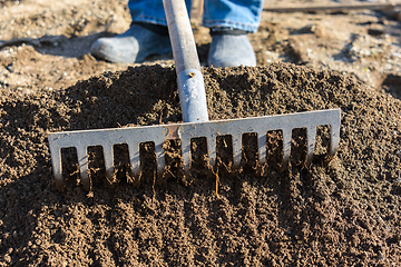 Image showing A rake loosens the fertile soil, close-up