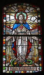 Image showing Immaculate Heart of Mary