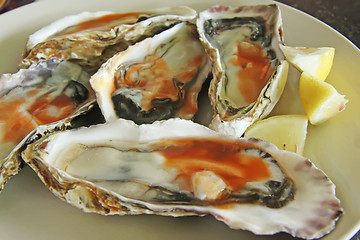 Image showing Fresh raw oysters