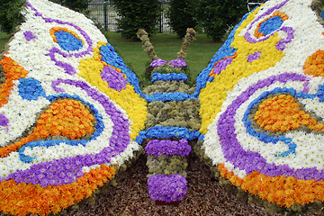 Image showing Flower butterfly