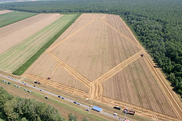 Image showing Golden Wheat field