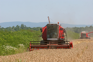 Image showing Combine harvesting wheat