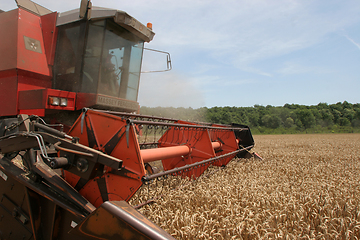 Image showing Combine harvesting wheat