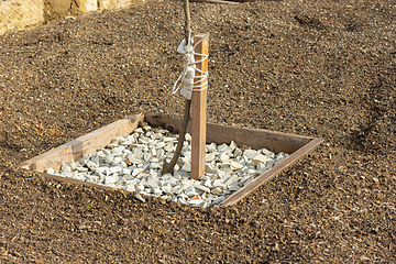 Image showing Wooden hole covered with decorative fine gravel for a fruit tree seedling