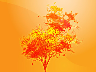 Image showing Autumn leafy tree