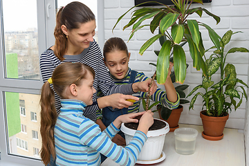 Image showing Mom and daughters take care of indoor plants