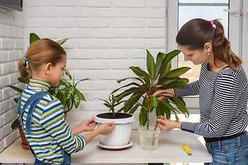 Image showing Mom and daughter transplant houseplants