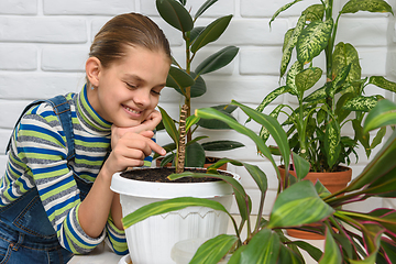 Image showing Girl happily examines houseplants