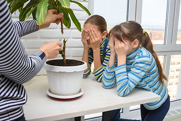 Image showing Children closed their eyes when mom cut a tall houseplant in two