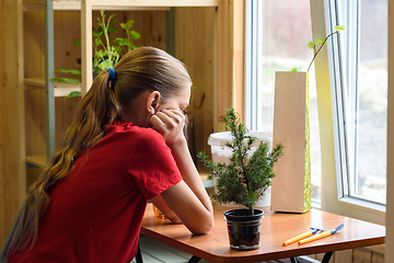 Image showing A girl sits by the window at a table on which there are garden plants and is waiting for spring