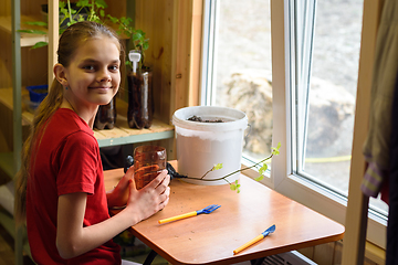 Image showing The girl is preparing to transplant seedlings of garden plants and looked into the frame