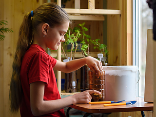 Image showing Girl pouring soil into a plastic bottle for planting seedlings of garden plants