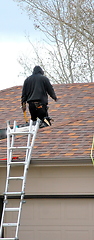 Image showing Roof tiles replacement.