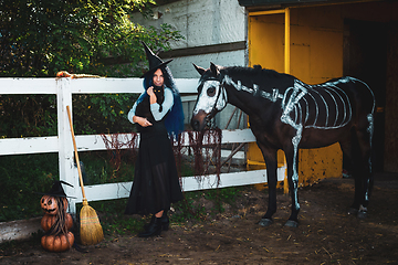 Image showing A girl dressed as a witch on a halloween party holds a black cat in her arms and stands by a corral on a farm next to a horse