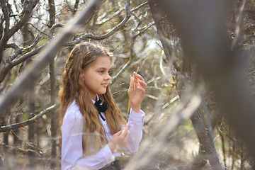Image showing A girl stands with dried wildflowers, in the foreground and background blurred branches of bushes in the forest
