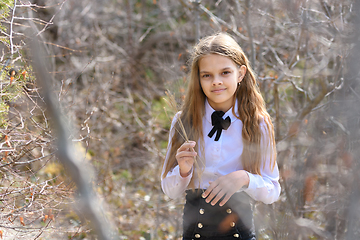 Image showing A girl in a white shirt walks through the spring forest and holds several straws in her hands