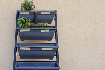 Image showing Horizontal shot of small vertical garden, hobby