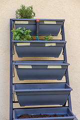 Image showing Vertical shot of small vertical garden, hobby