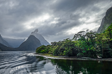 Image showing Milford Sound, fiordland national park, New Zealand