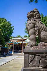 Image showing Lion statue in Ushijima Shrine temple, Tokyo, Japan