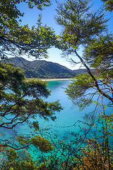 Image showing Track view in Abel Tasman National Park, New Zealand